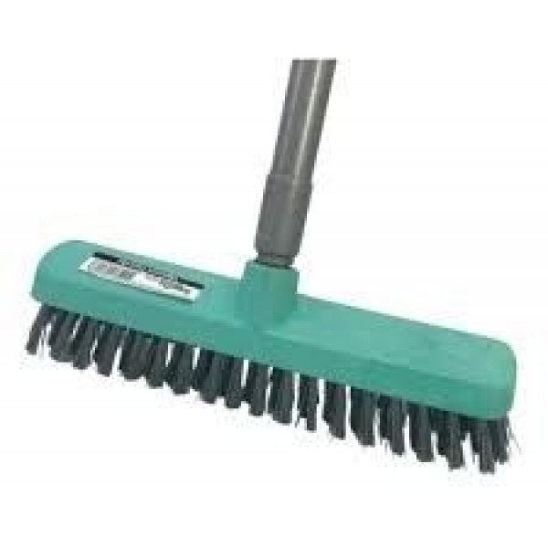 ESCOVÃO PEGA FORTE BETTANIN