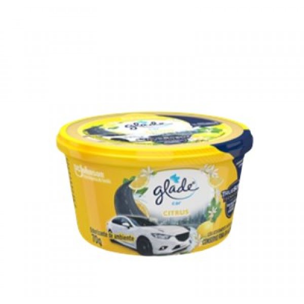 AROMATIZANTE CARRO CITRUS 70 G